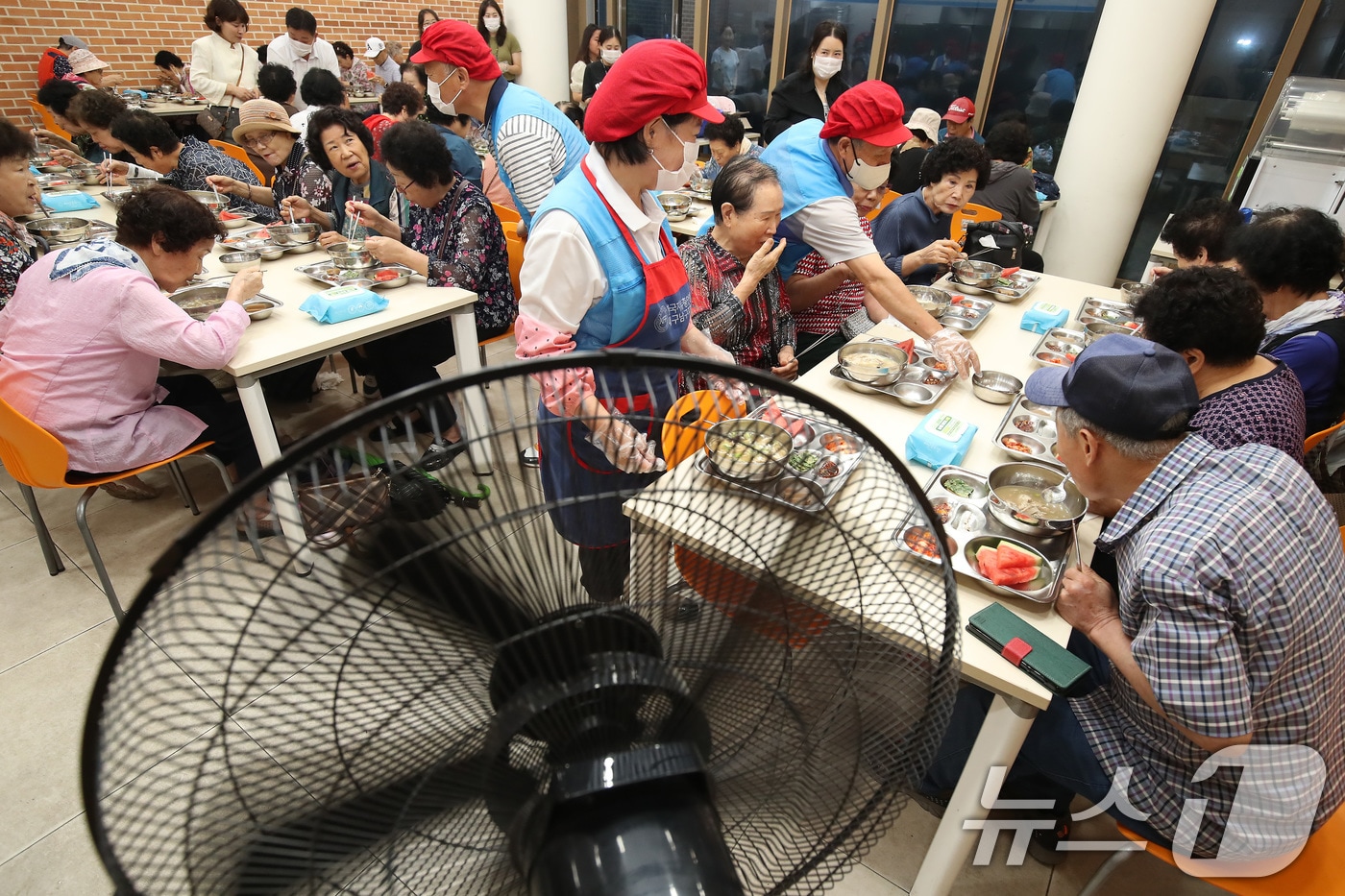 삼계탕 먹는 어르신들. /뉴스1 ⓒ News1 공정식 기자