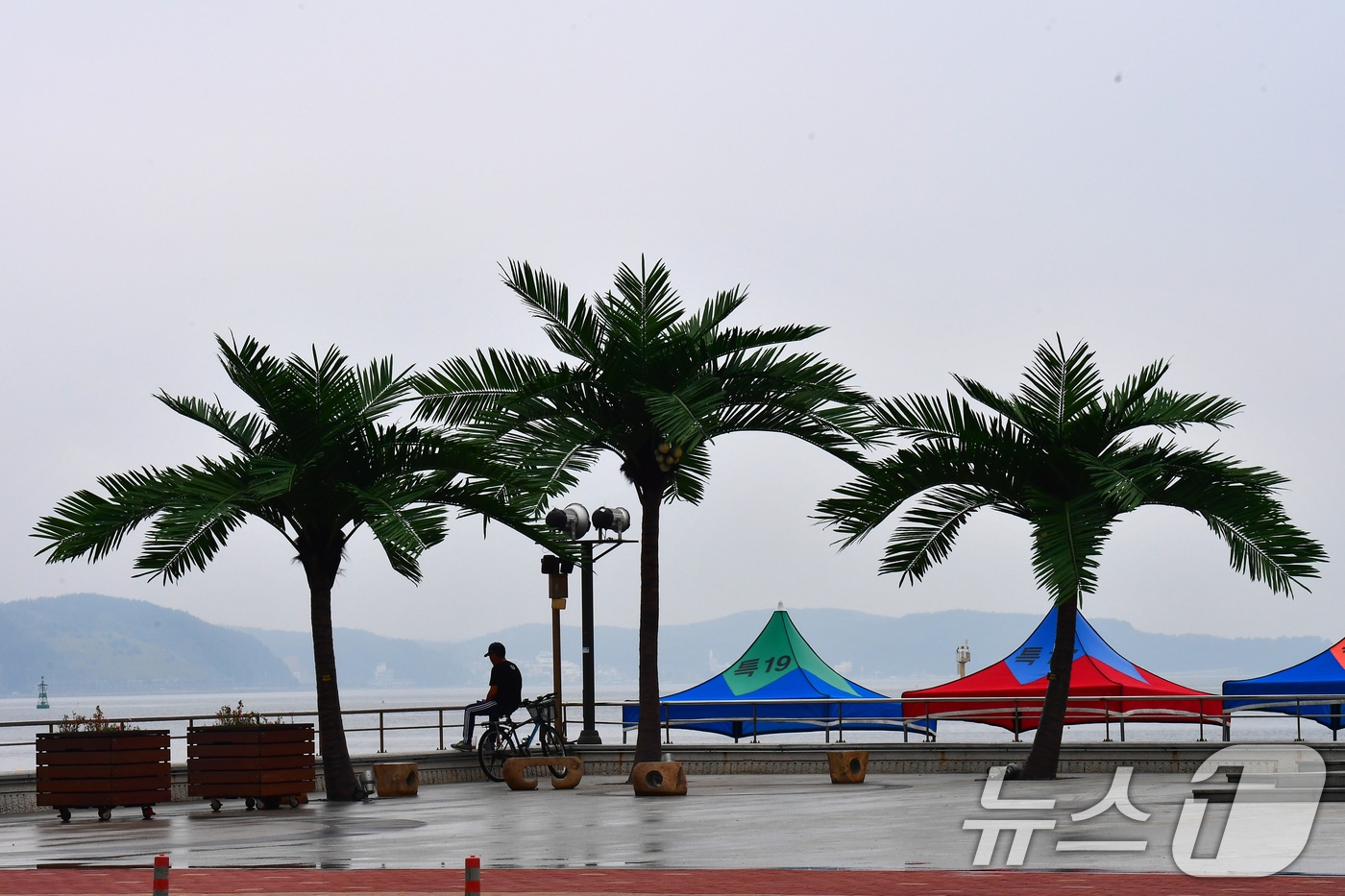 17일 경북 포항시 송도해수욕장 평화의 여신상 광장에서 산책 나온 시민이 인공 야자수 나무 아래에서 쉬고 있다. 2025.7.17/뉴스1 ⓒ News1 최창호 기자