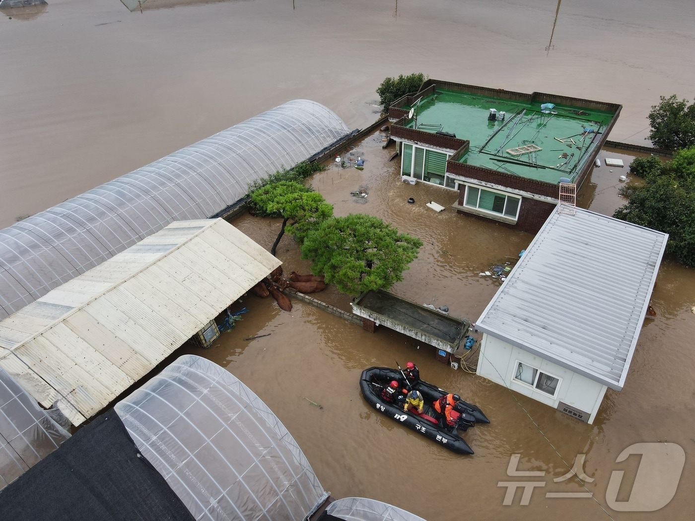 17일 오전 충남 예산군 고덕면 용리에서 중앙119구조본부 충청강원 119특수구조대 대원들이 주민들을 구조하고 있. 2025.7.17/뉴스1 ⓒ News1 김기태 기자