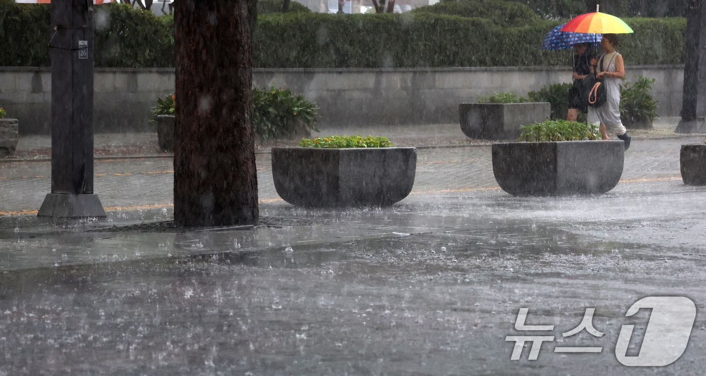 (사진은 기사 내용과 무관함) / 뉴스1 ⓒ News1