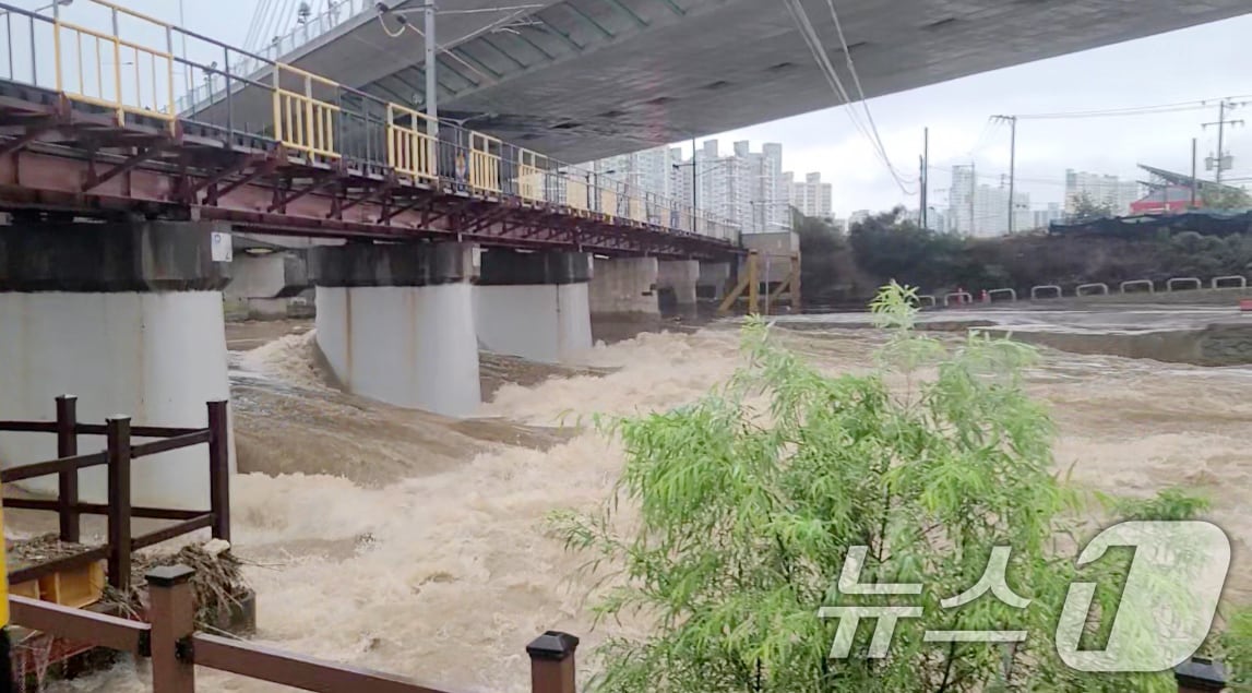 광주에 시간당 80㎜의 극한 호우가 쏟아진 17일 광산구 운남대교에 수위가 높아지고 있다. (광주 광산구 제공. 재판매 및 DB 금지) 2025.7.17/뉴스1 ⓒ News1 이승현 기자