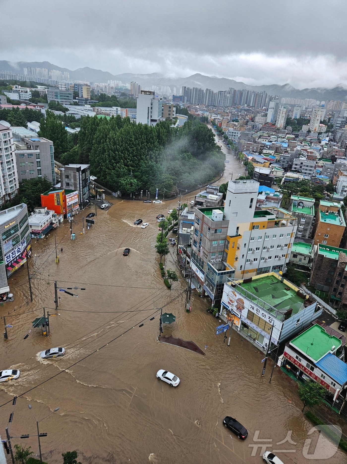 호우경보가 발효된 17일 상습침수 지역인 광주 북구 신안동 일대가 물에 잠겨 있다. (광주 북구 제공. 재판매 및 DB 금지) 2025.7.17/뉴스1