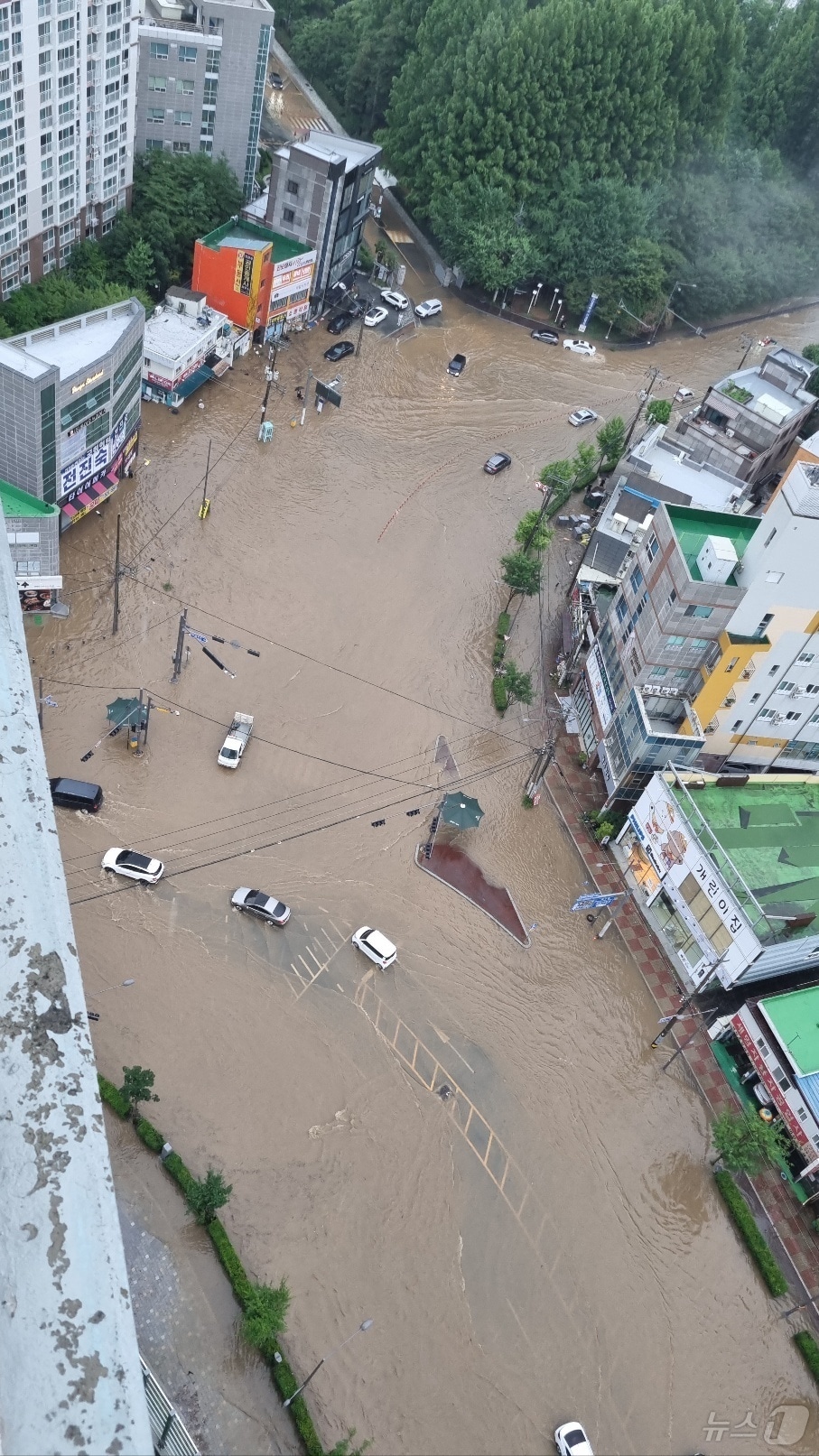 호우경보가 발효된 17일 낮 12시쯤 상습침수 지역인 광주 북구 신안동 일대가 물에 잠겨 있다. (광주 북구 제공. 재판매 및 DB 금지) 2025.7.17/뉴스1 