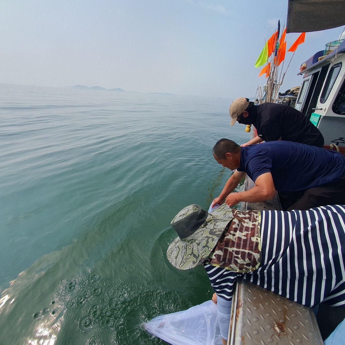  어린 주꾸미 방류 모습.(충남도 제공. 재판매 및 DB금지)/뉴스1