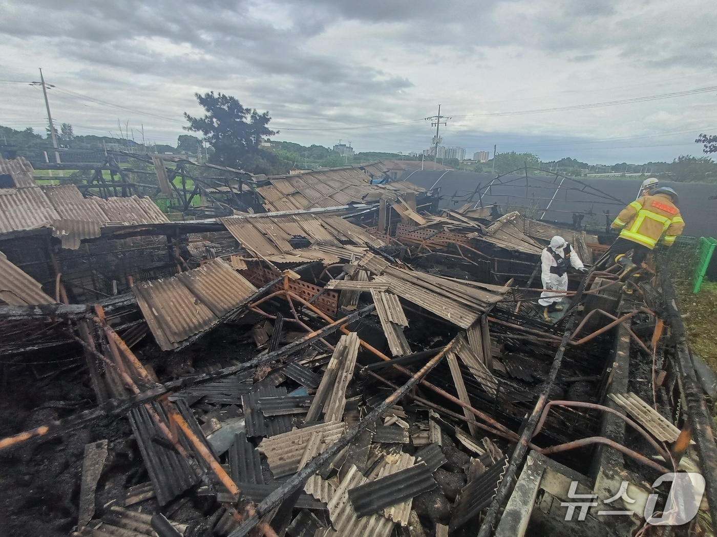  논산 연무읍 돈사 화재 현장. (논산소방서 제공, 재판매 및 DB금지) / 뉴스1