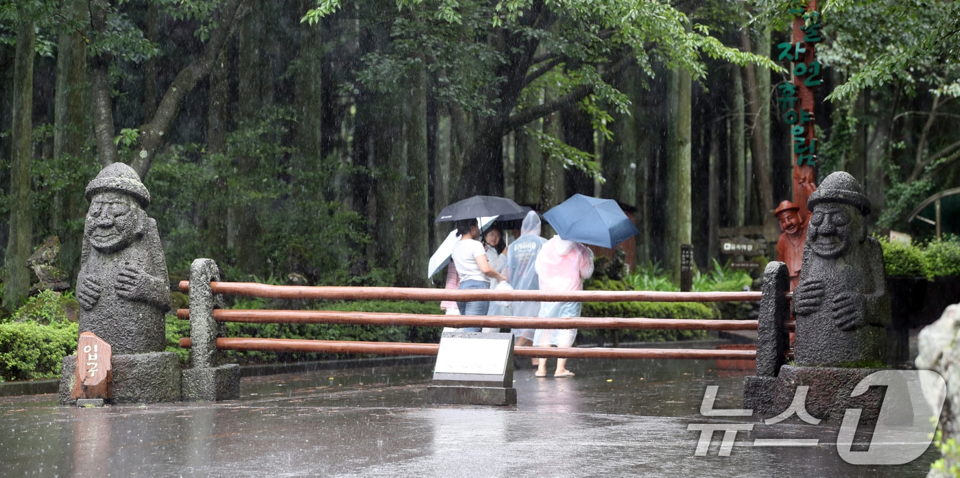 비 내리는 제주(자료사진)/뉴스1