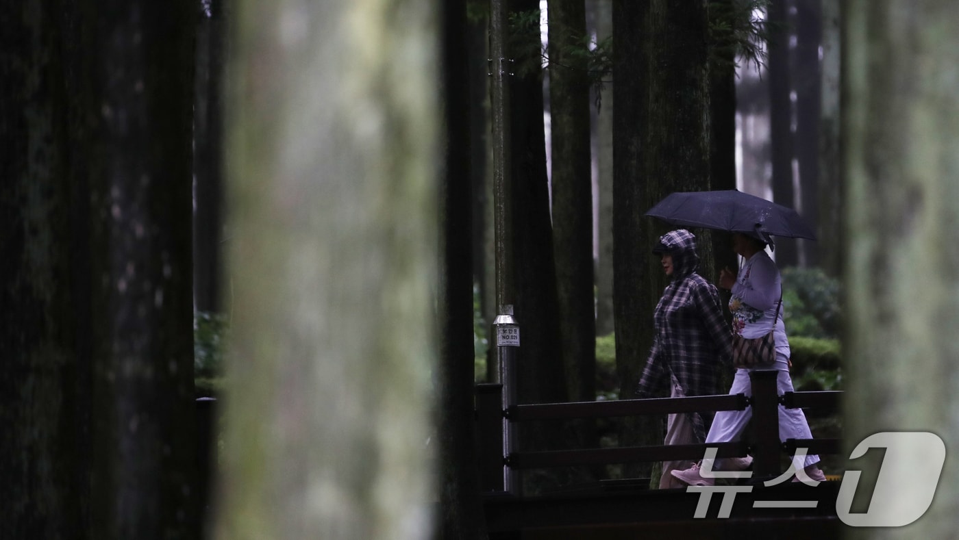 비 내리는 제주(자료사진)/뉴스1