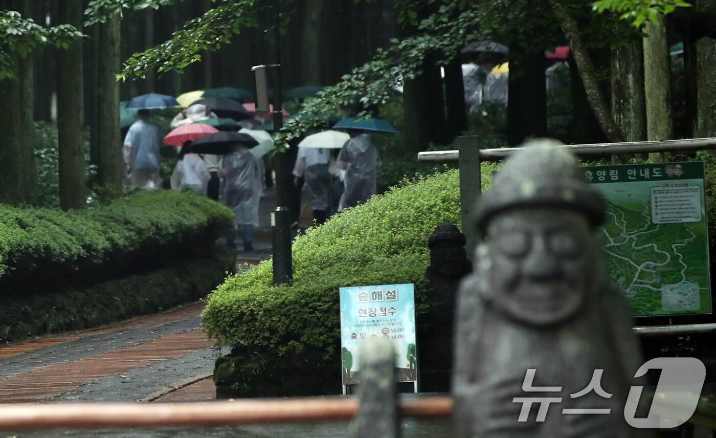 비 내리는 제주(자료사진)/뉴스1
