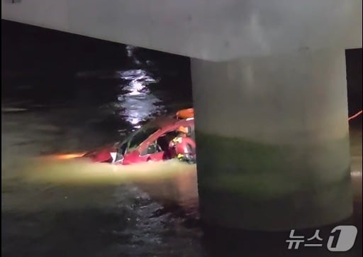 18일 오후 11시 20분쯤 하동군 고전면 고남교 인근 하천에 빠진 차량에서 소방대원이 운전자를 구조하고 있다.(경남소방본부 제공. 재판매 및 DB금지)