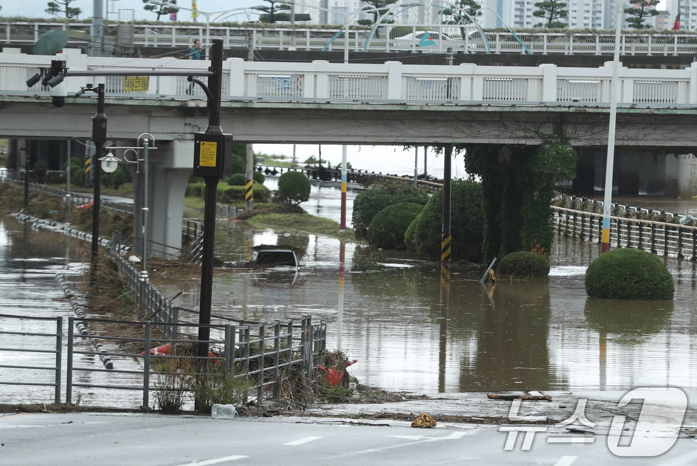 19일 내린 폭우로 울산시 중구 울산교 하부 도로가 물에 잠겨 통제되고 있다. 2025.7.19/뉴스1 ⓒ News1 조민주 기자