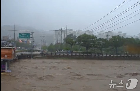 19일 낮 12시쯤 의령천 의령군 공단교 지점 모습(낙동강홍수통제소 홈페이지 캡쳐. 재판매 및 DB금지)