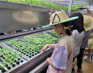 여름철 어린이 자연학교(서울시 제공)