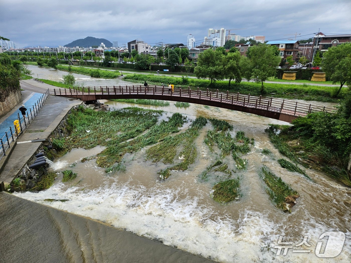 밤사이 많은 비가 내린 가운데 20일 오전 강원 춘천 퇴계동 공지천의 물이 불어나 있다. 2025.7.20 한귀섭 기자