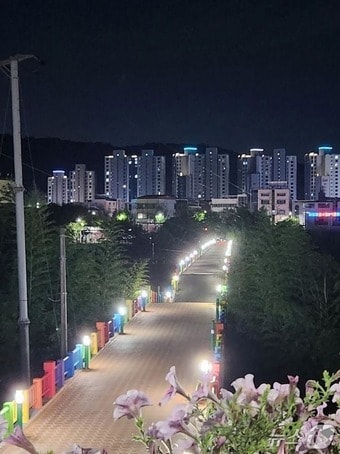 울산 '구 삼호교' 일부 구간이 내려 앉아 있는 모습.(온라인 커뮤니티 갈무리)