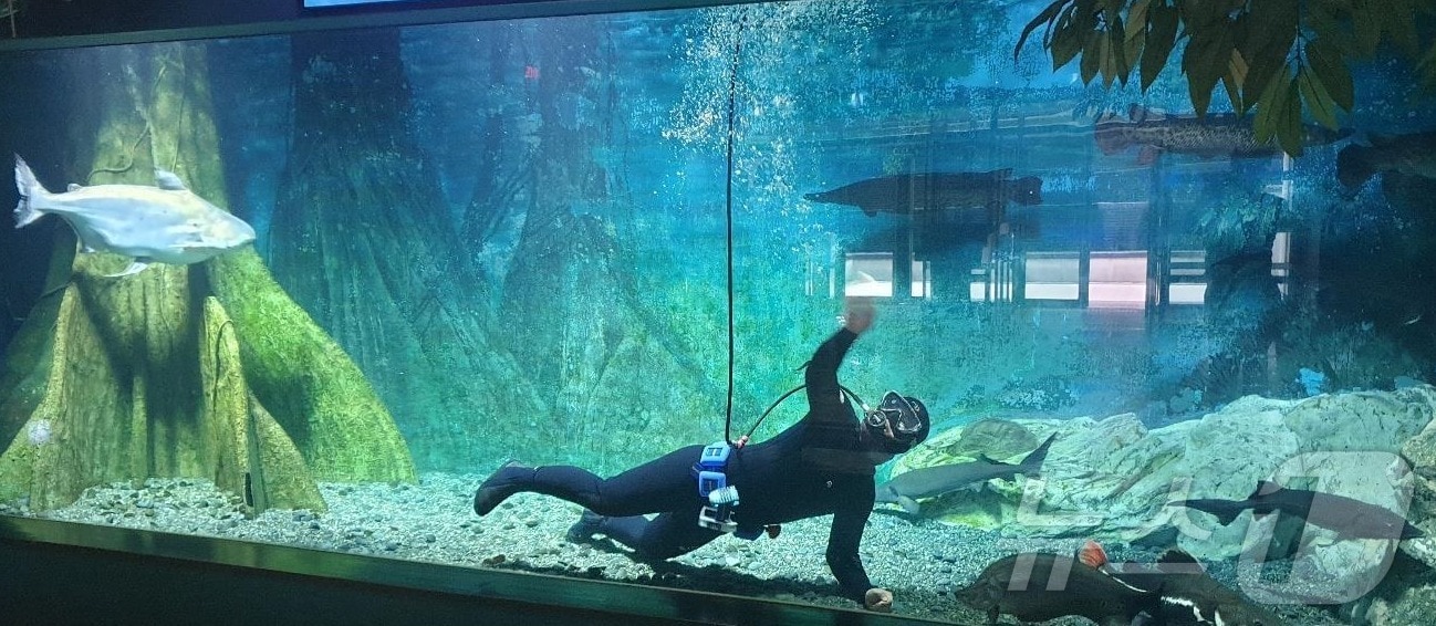 경북도 울진군에 있는 민물고기생태체험관은 여름 성수기를 맞아 7월 20일~8월 20일까지 한 달간 휴관일 없이 상시 개관한다. ⓒ News1 김대벽기자