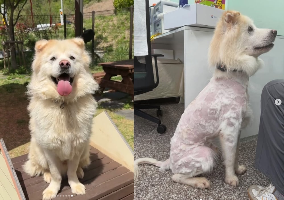 (인스타그램 갈무리)