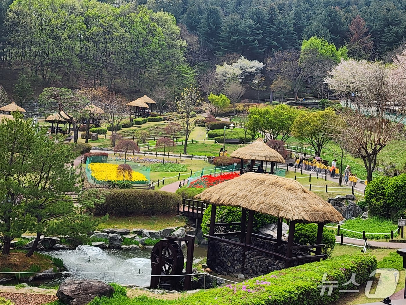 용인농촌테마파크 여름철 전경.(용인시 제공)