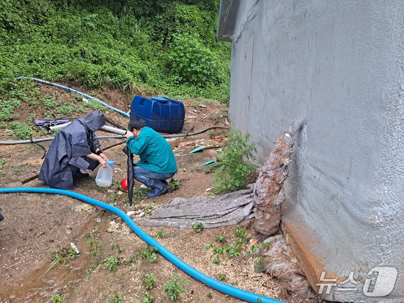 축사 주변 하천수 현장수질측정 모습.&#40;홍천군 제공&#41;./뉴스1