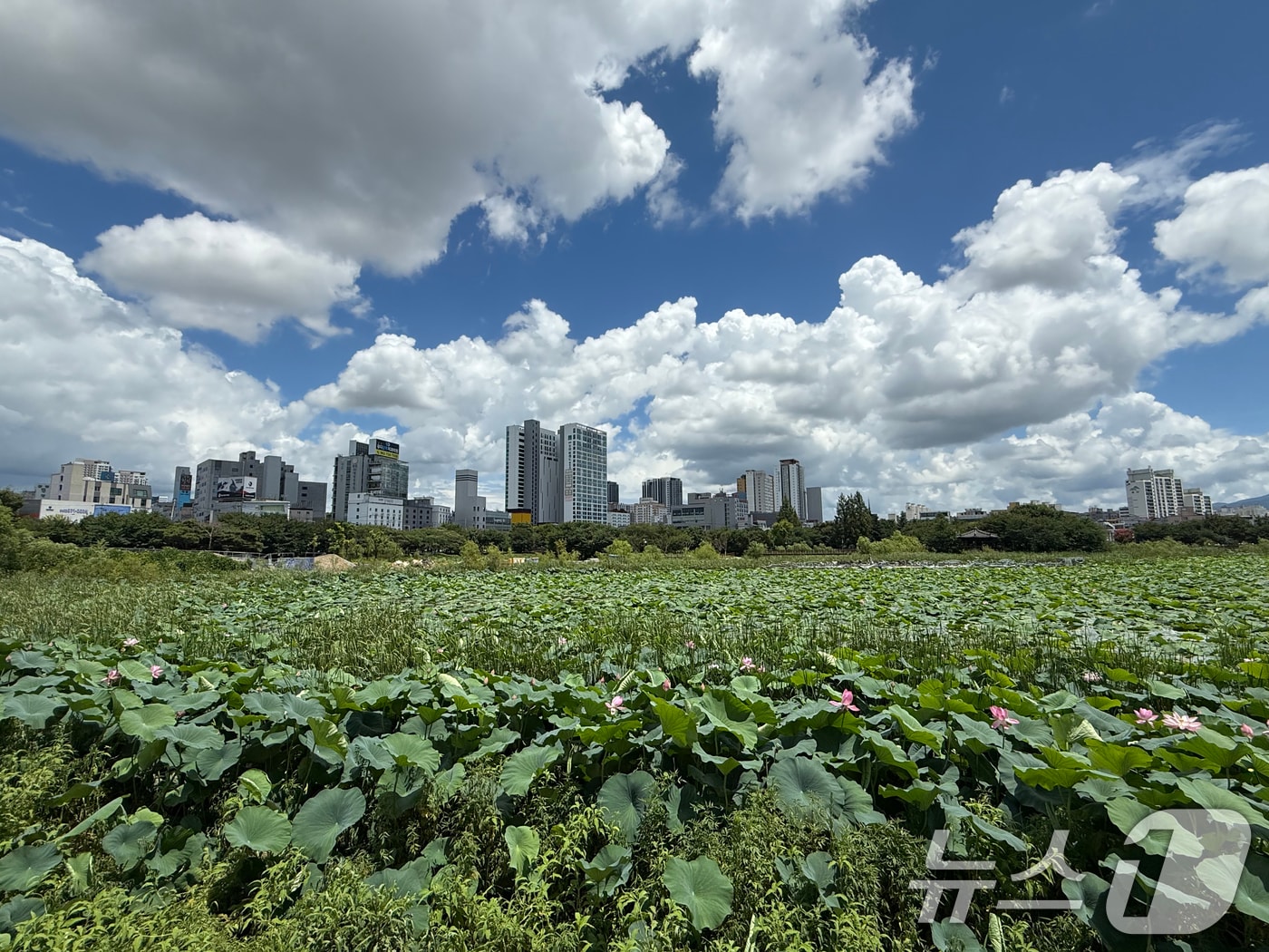 폭우가 그친 21일 광주 서구 운천저수지 위로 파란 하늘과 흰구름이 펼쳐져 있다. 2025.7.21/뉴스1 ⓒ News1 김태성 기자
