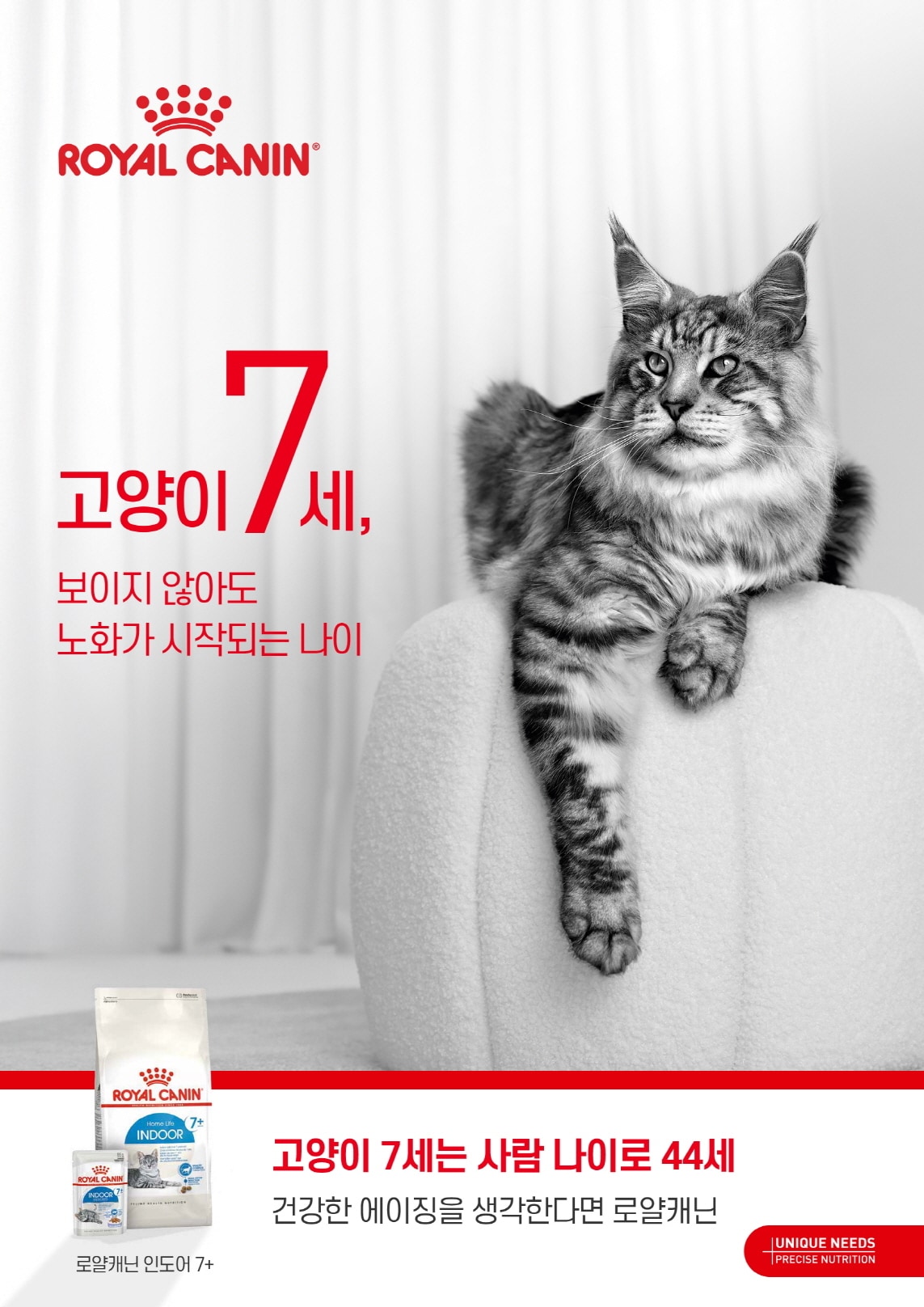 반려묘 건강 적신호? 7세부터 시작되는 노화, 맞춤 영양 관리로 지켜주세요!