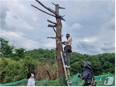 경주경찰서가 농산물 절도 예방을 위해 경작지 주변 등 범죄 취약지역에 이동형 CCTV를 설치했다. (경주경찰서 제공, 재판매 및 DB금자) 2025.7.22/뉴스1 
