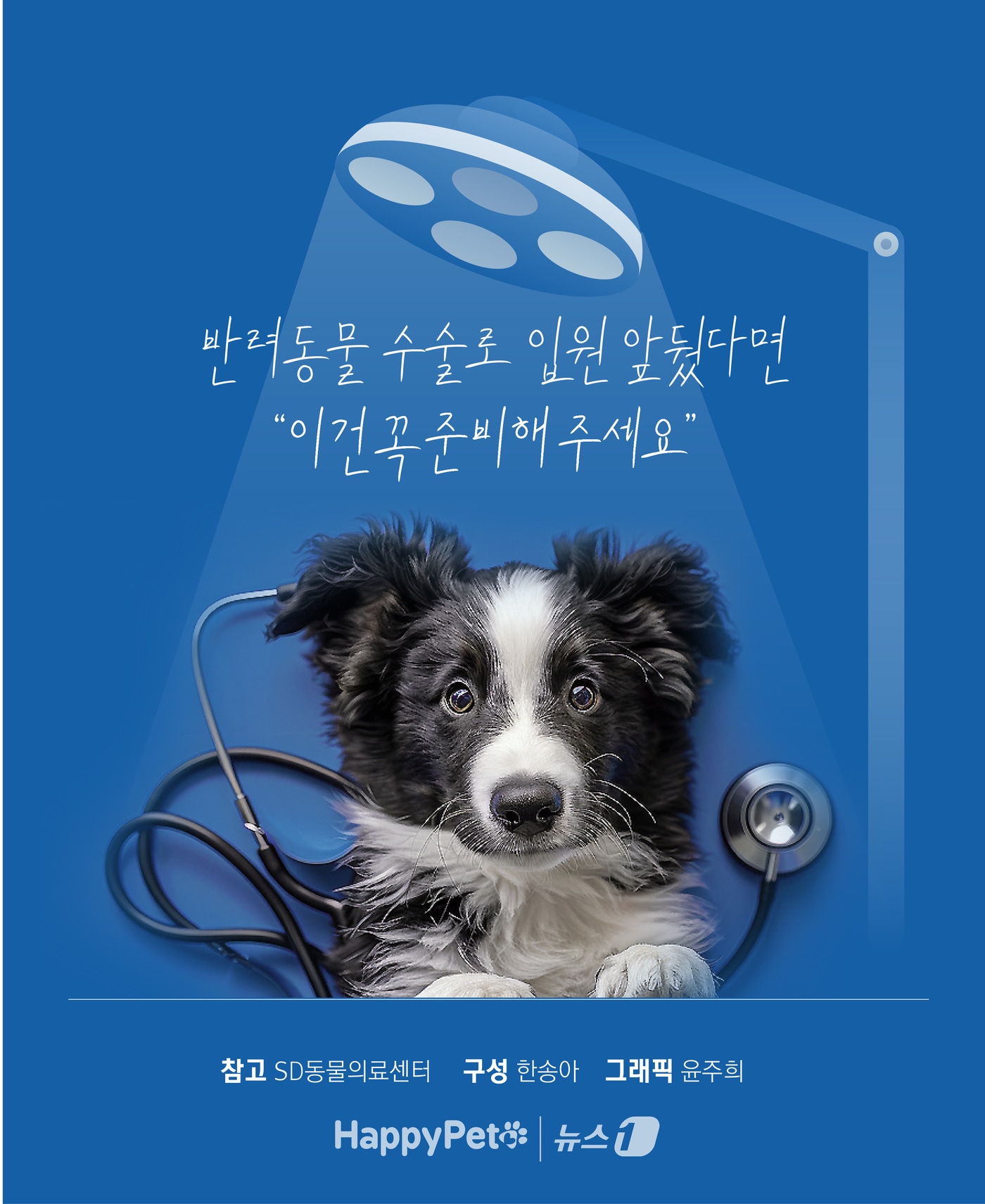 ⓒ News1 윤주희 디자이너