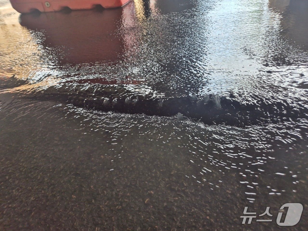 21일 부산 사상구 새벽시장 앞 교차로 사고 현장.(사상구 제공. 재판매 및 DB 금지)