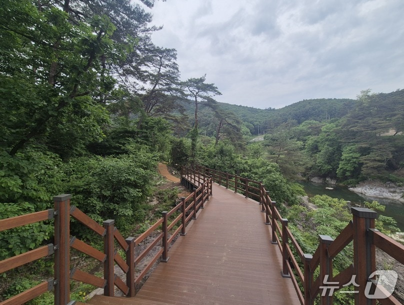 제천 탁사정 산책로 개방 (제천시 제공. 재판매 및 DB금지)/뉴스1