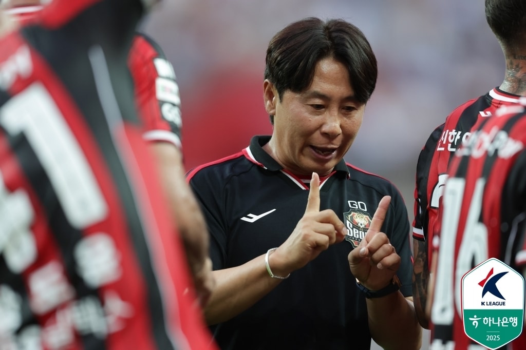 FC서울 경기 장면