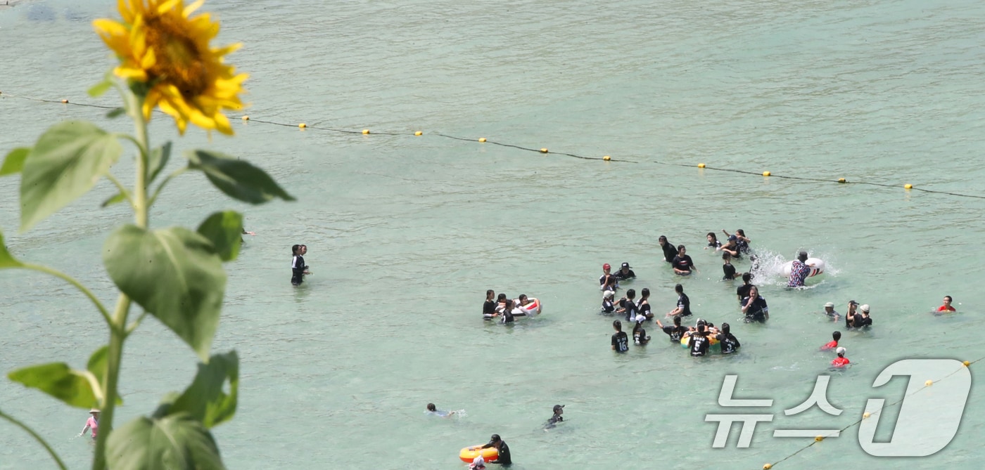 제주도 북부·남부·동부·서부·북부중산간에 폭염주의보가 내려진 23일 오전 제주시 조천읍 함덕해수욕장에서 피서객들이 더위를 쫓고 있다. 2025.7.23/뉴스1 ⓒ News1 오현지 기자