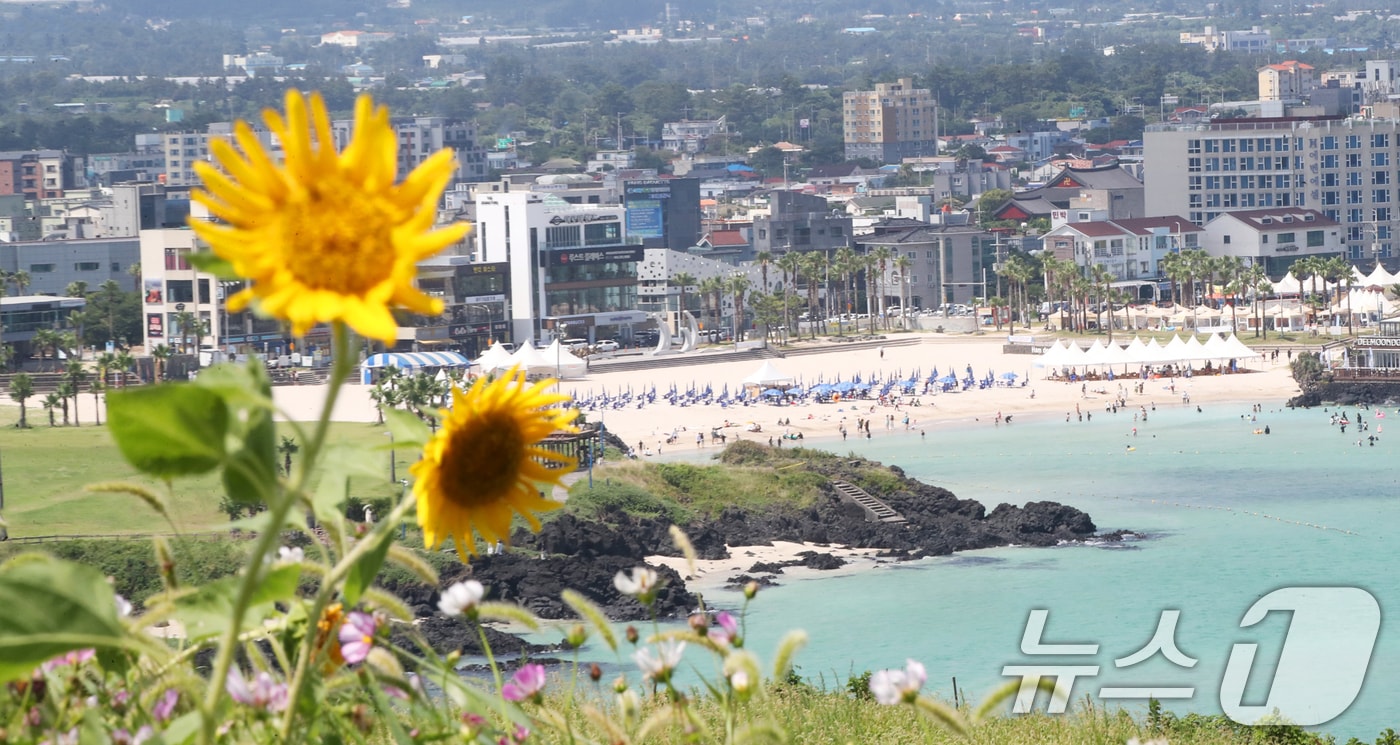 제주시 조천읍 서우봉. 2025.7.23/뉴스1 ⓒ News1 오현지 기자