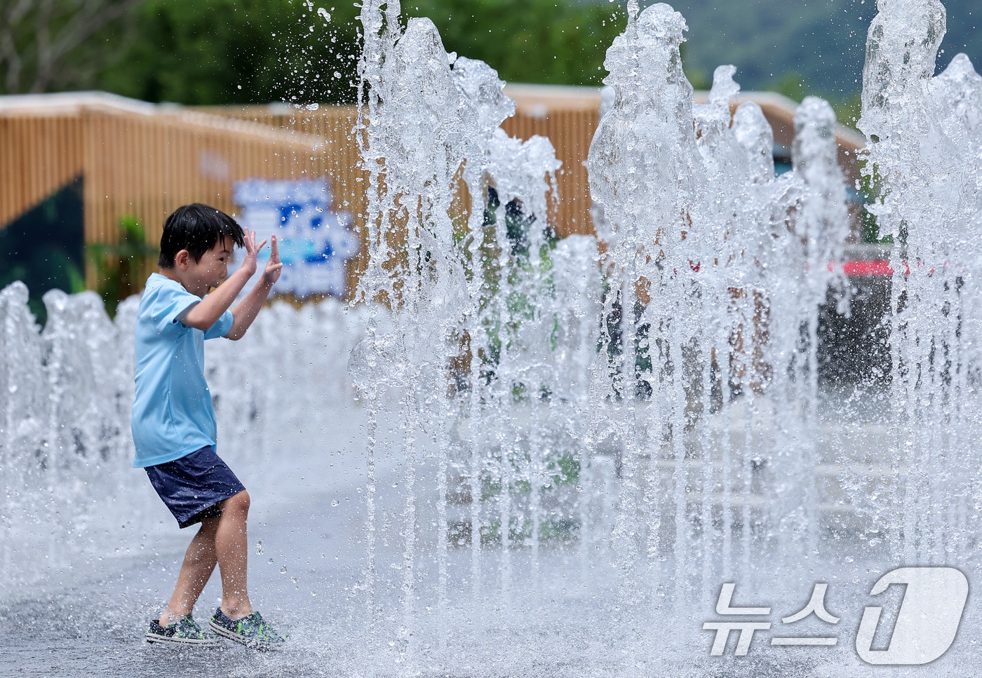 자료사진./뉴스1