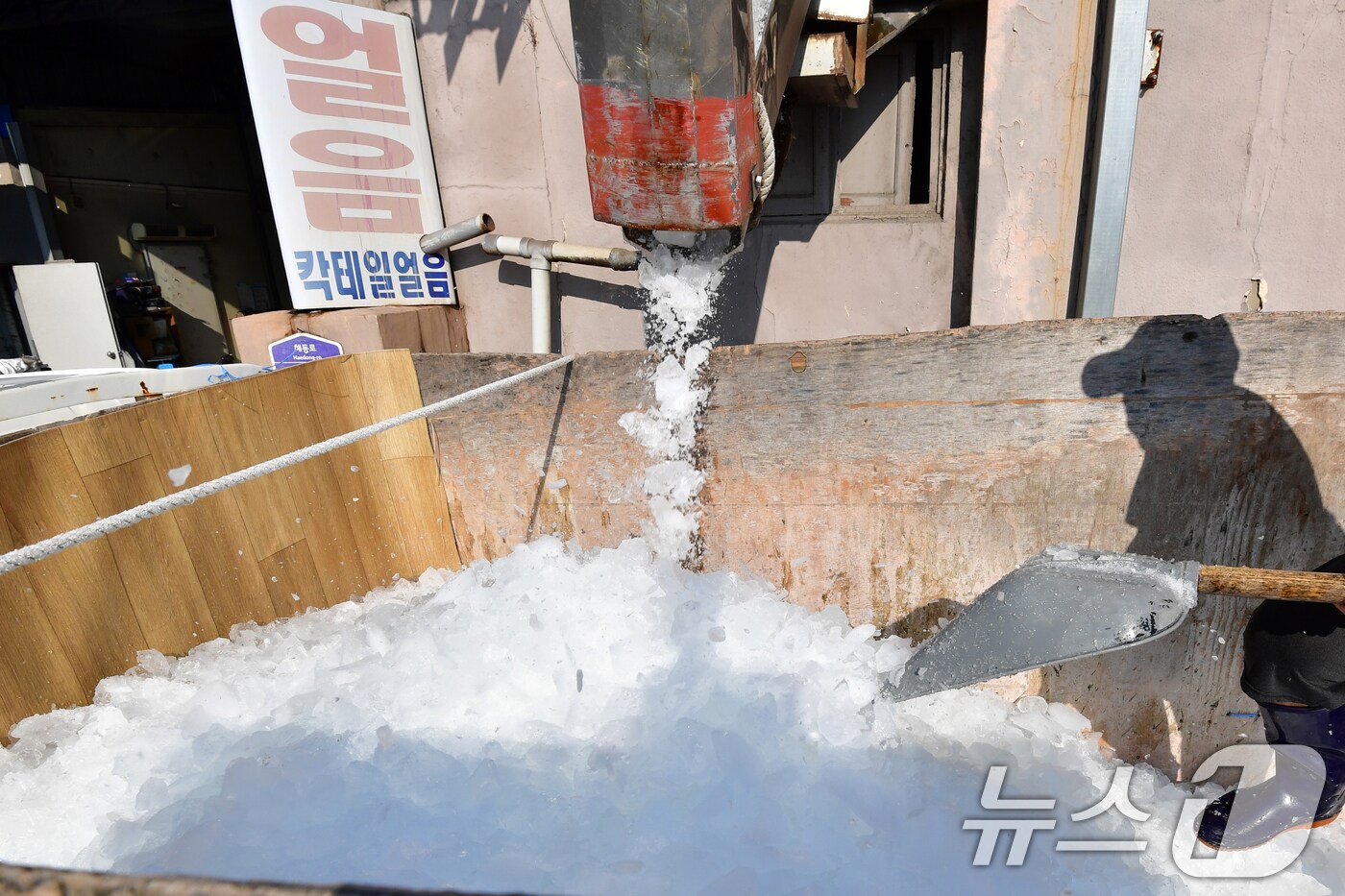 폭염이 기승을 부리고 있는 24일 오전 경북 포항시 북구 동빈동 얼음공장에서 죽도시장 상인이 1톤 화물차에 얼음을 담고 있다. ⓒ News1 최창호 기자