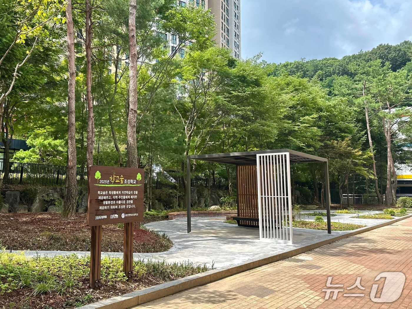 용인한빛초에 조성된 학교 숲 모습.(용인시 제공)