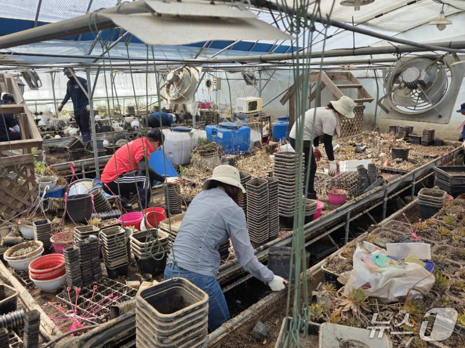 금산군 공직자 호우 피해 복구 모습(금산군 제공.재판매 및 DB 금지)/뉴스1