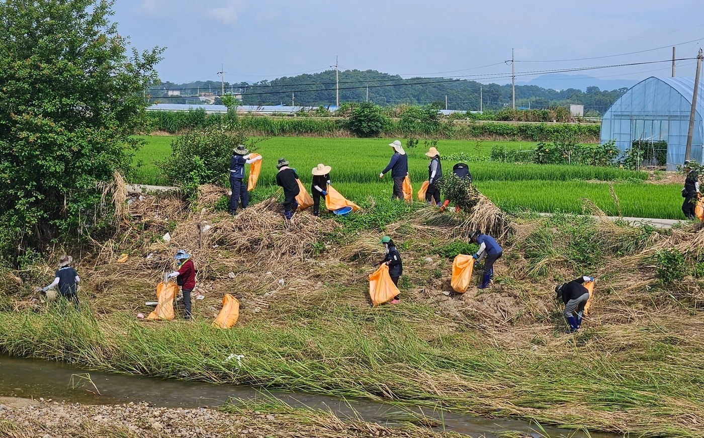 충남도의회 농수산해양위원회 등 직원 60명이 서산 상성리 강가에서 호우로 쌓인 쓰레기를 수거하고 있다.(충남도의회 제공. 재판매 및 DB금지)/뉴스1  