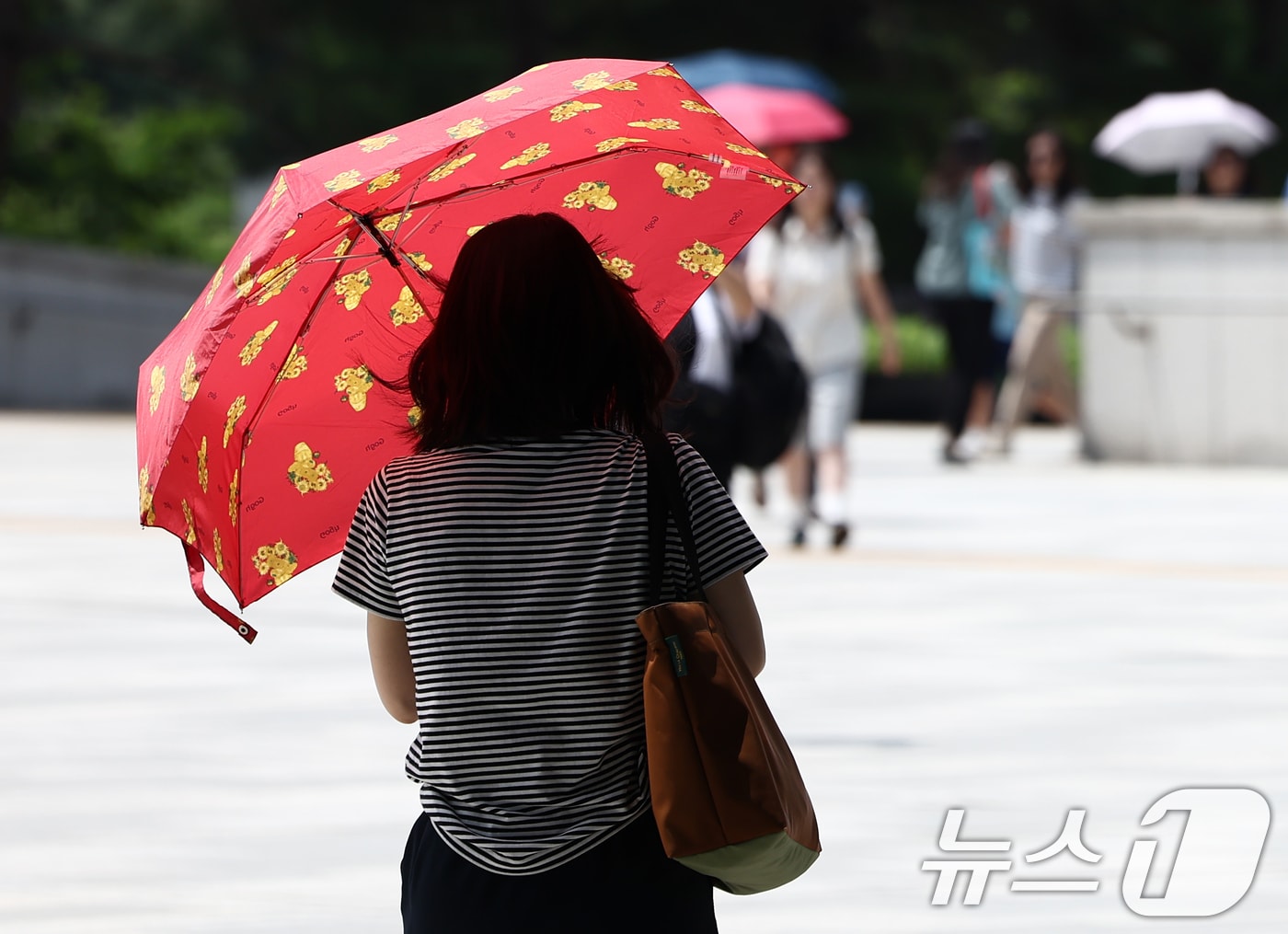서울 전역에 폭염경보가 내려진 24일 서울 용산구 국립중앙박물관에서 시민들이 양산을 쓰고 뜨거운 햇빛을 가리고 있다. 2025.7.24/뉴스1 ⓒ News1 김민지 기자