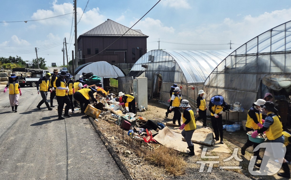 광주시 공무원들이 24일 북구 용강동 비닐하우스에서 수해 복구 자원 봉사 활동을 하고 있다.(광주시 제공. 재판매 및 DB 금지) 2025.7.24/뉴스1