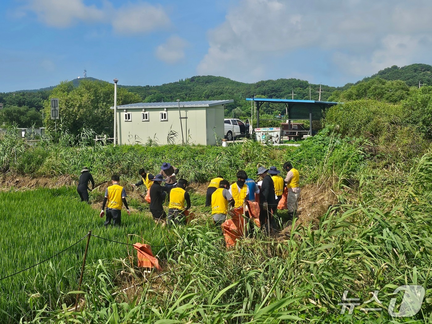 (인천 옹진군 제공.재판매 및 DB금지)
