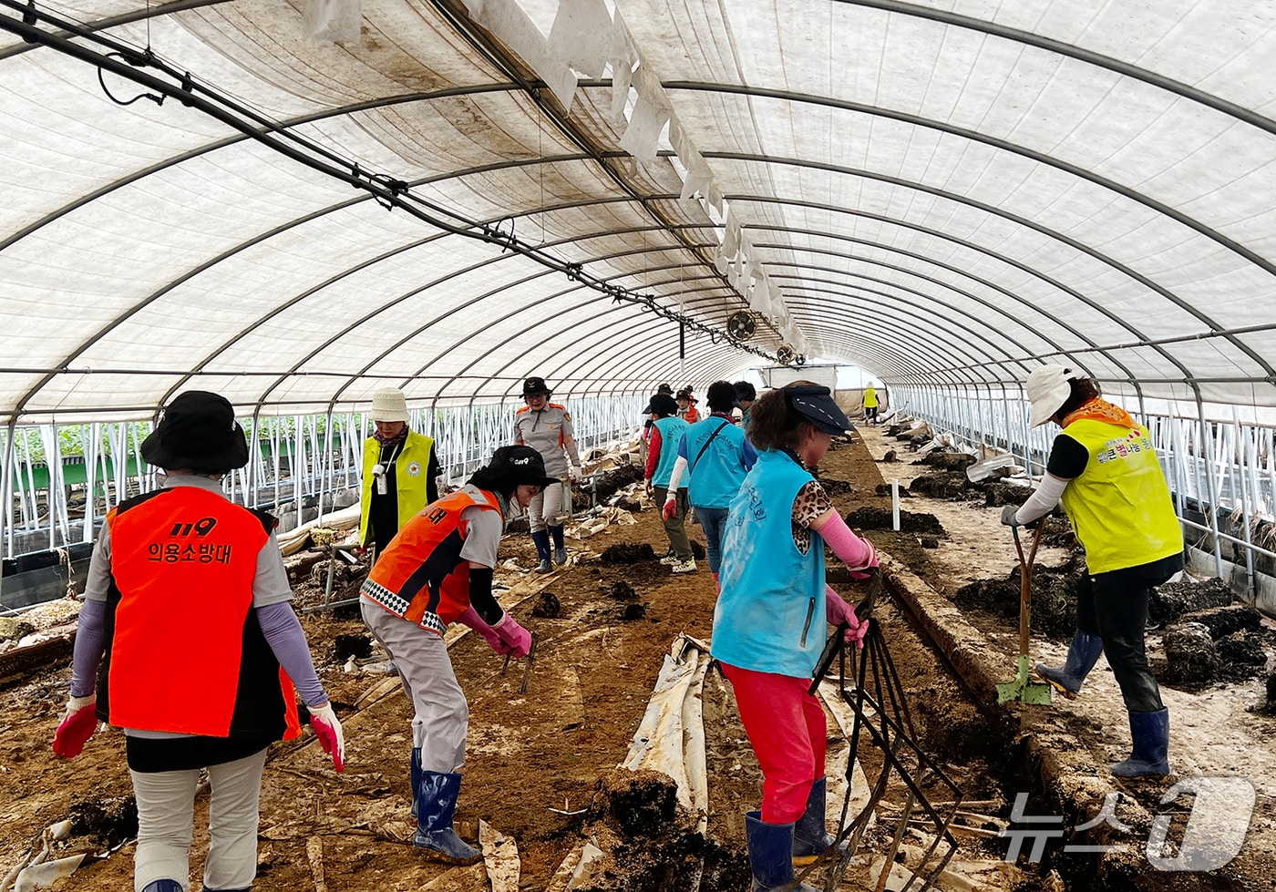 (서울 강서구 제공)