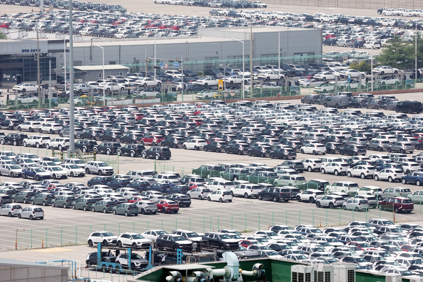 경기 평택시 포승읍 평택항에 수출용 차량들이 세워져 있는 모습. 2025.7.24/뉴스1 ⓒ News1 김영운 기자