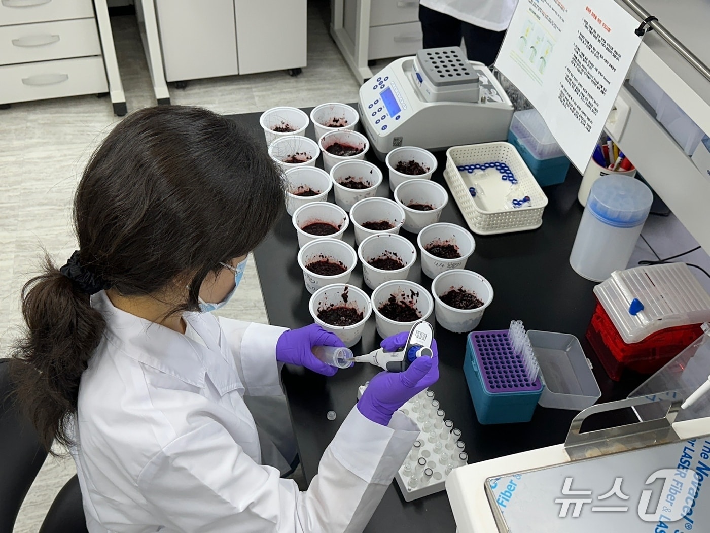 고창 복분자 잔류농약 안전성 검사.&#40;고창군 제공. 재판매 및 DB금지&#41;