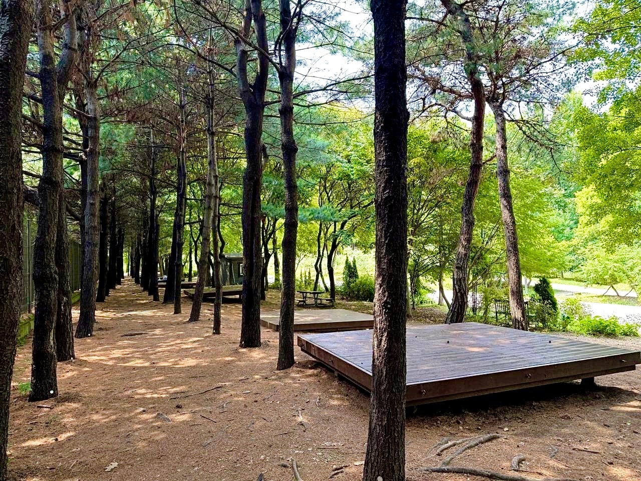 성동 서울숲 여름 캠핑장 (성동구 제공)