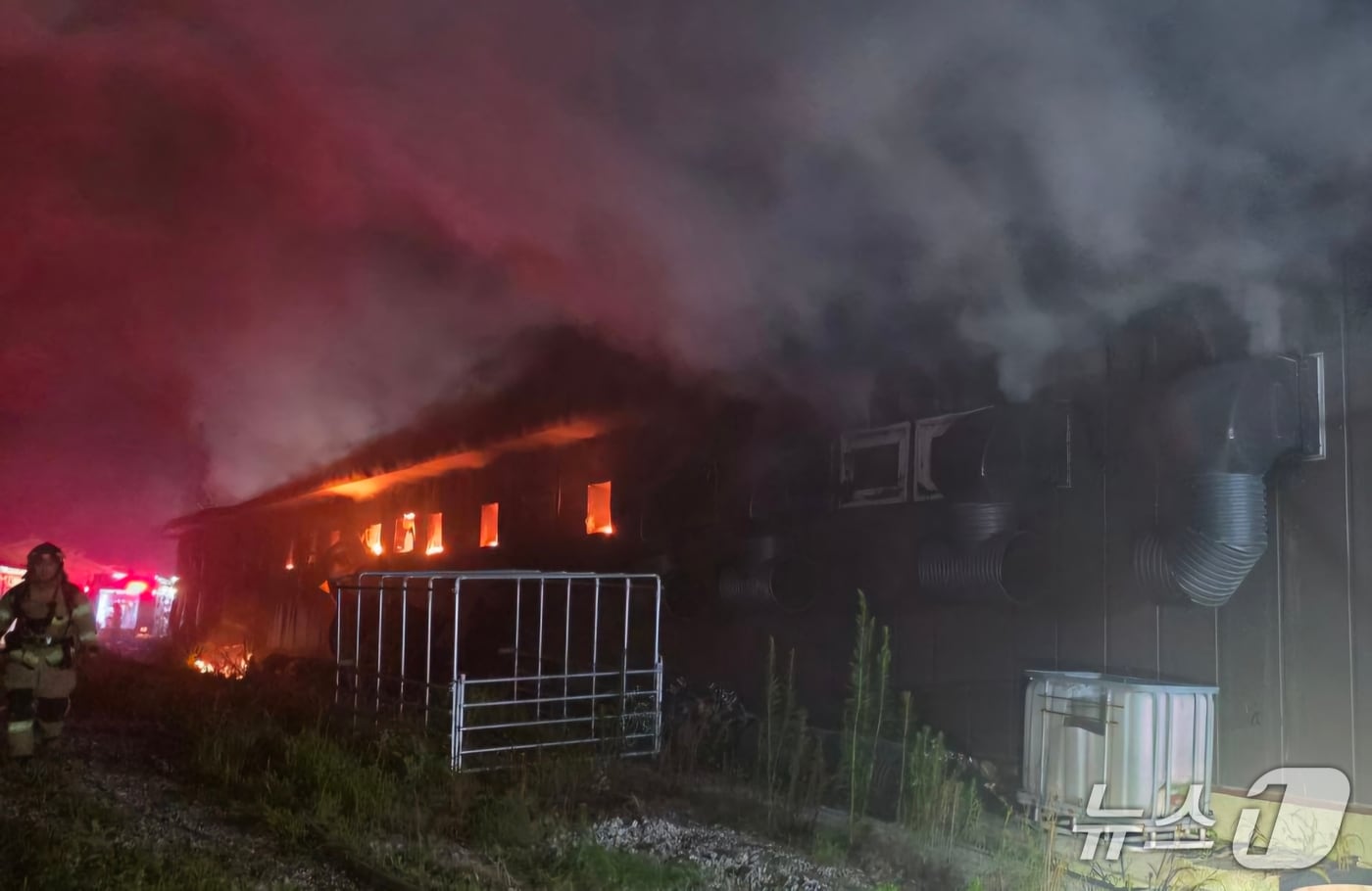 안성시 서운면 돼지농장 화재 현장.&#40;경기도소방재난본부 제공. 재판매 및 DB금지&#41;