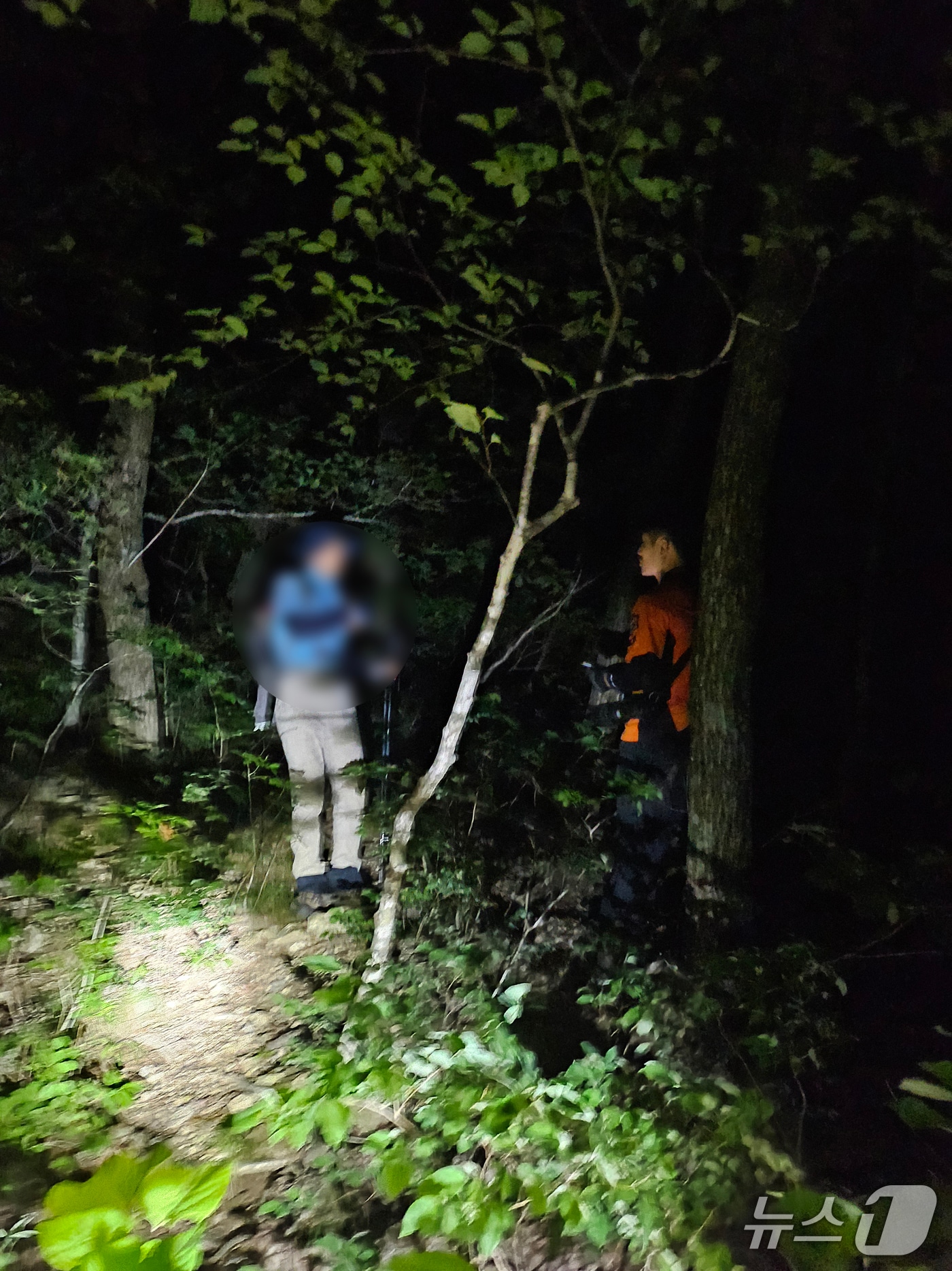 24일 오후 7시19분쯤 경북 포항시 북구 죽장면 동대산에서 조난됐던 60대 남성 A 씨가 119구조대에 의해 무사히 구조됐다. (영덕소방서제공,  제판매 및 DB금지) 2025.7.25/뉴스1