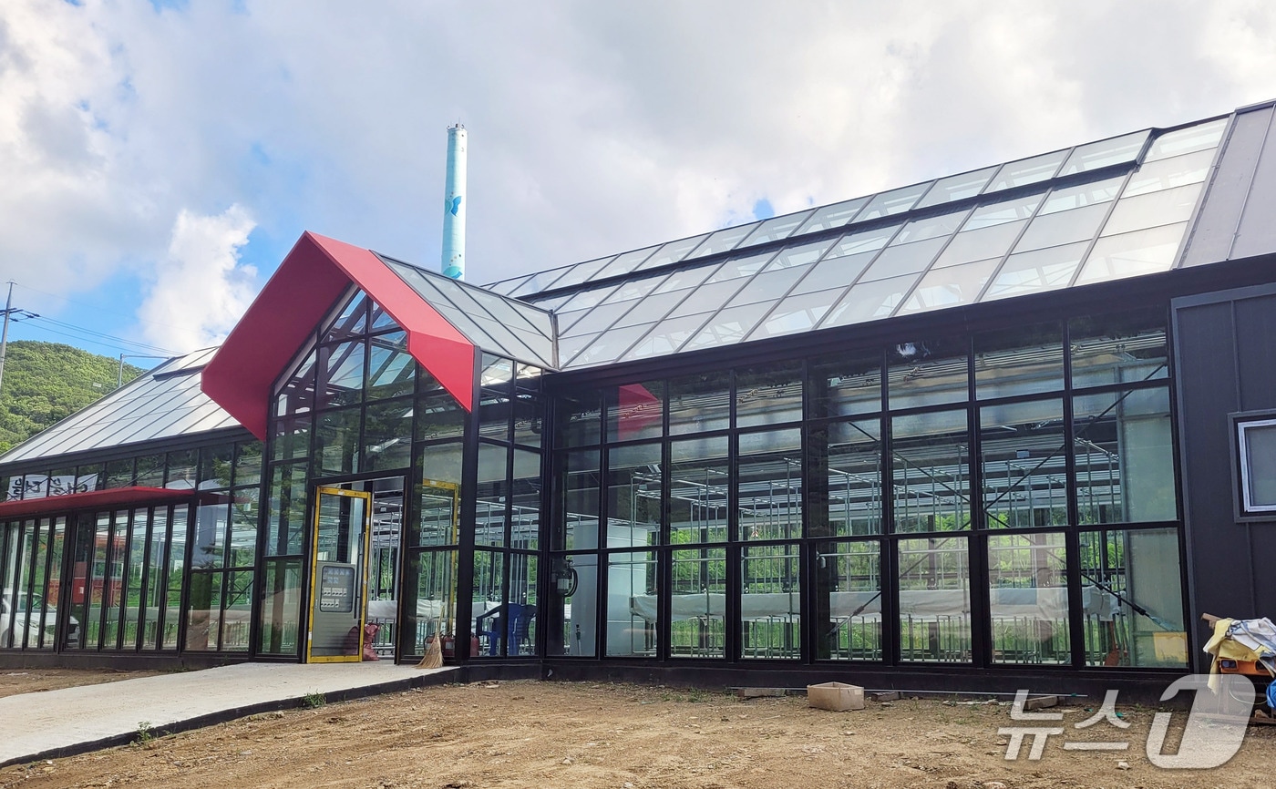 과천시가 조성하는 유리온실.&#40;과천시 제공&#41;