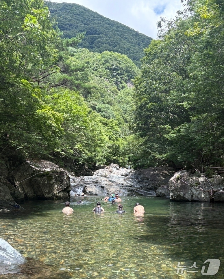 26일 낮 12시쯤 양산 원동면 배내골 인근의 한 계곡에서 피서객들이 물놀이를 즐기고 있다. ⓒ 뉴스1 박민석 기자