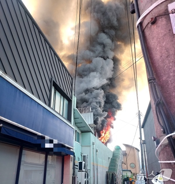 27일 오전 5시 48분께 전북 고창군 흥덕면의 한 단독주택에서 화재가 발생했다.(전북소방본부 제공, 재판매 및 DB 금지)/뉴스1