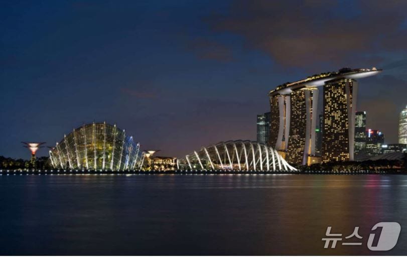 싱가포르 '가든스 바이 더 베이' 조명 (LPA 홈페이지 갈무리)
