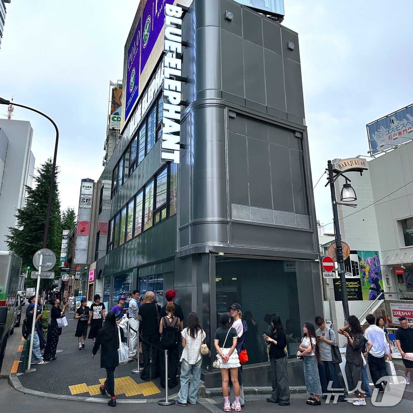 사진=블루엘리펀트(BLUE ELEPHANT) 제공